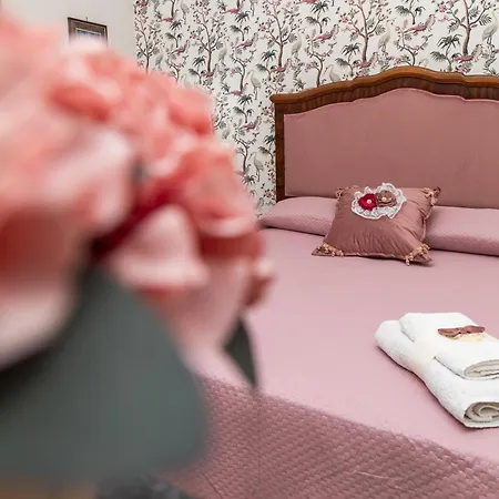 Fabiola פומפיי