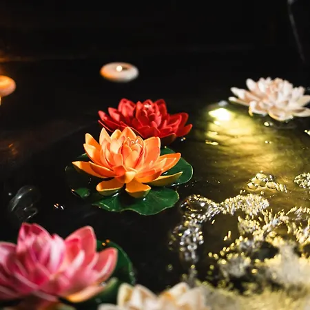 לינה וארוחת בוקר Fabiola