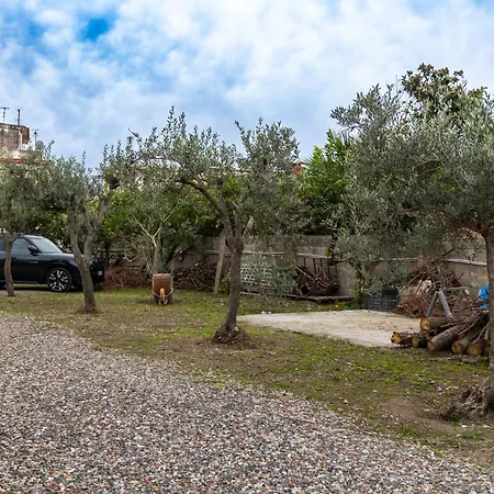 Fabiola לינה וארוחת בוקר פומפיי